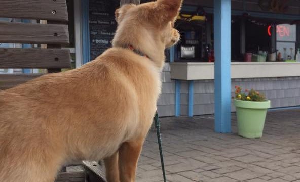 512948402_23899801976349542_5338880418495643669_n