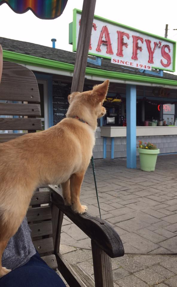 512948402_23899801976349542_5338880418495643669_n