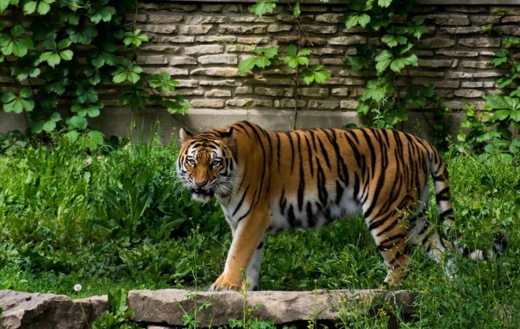 07393e4c-9705-4568-bcd2-c80aaa09d807heroImage