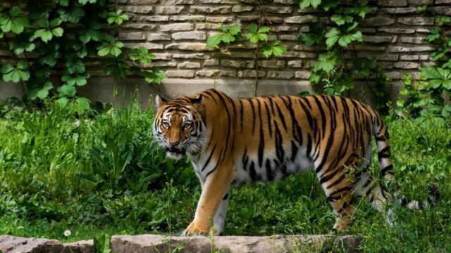 07393e4c-9705-4568-bcd2-c80aaa09d807heroImage