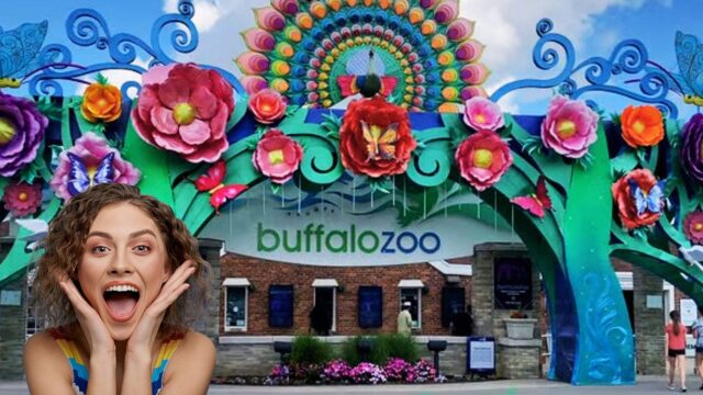 attachment-Excited-woman-in-front-of-Buffalo-Zoo