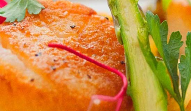 chrome-capture-2026-03-18 (2)